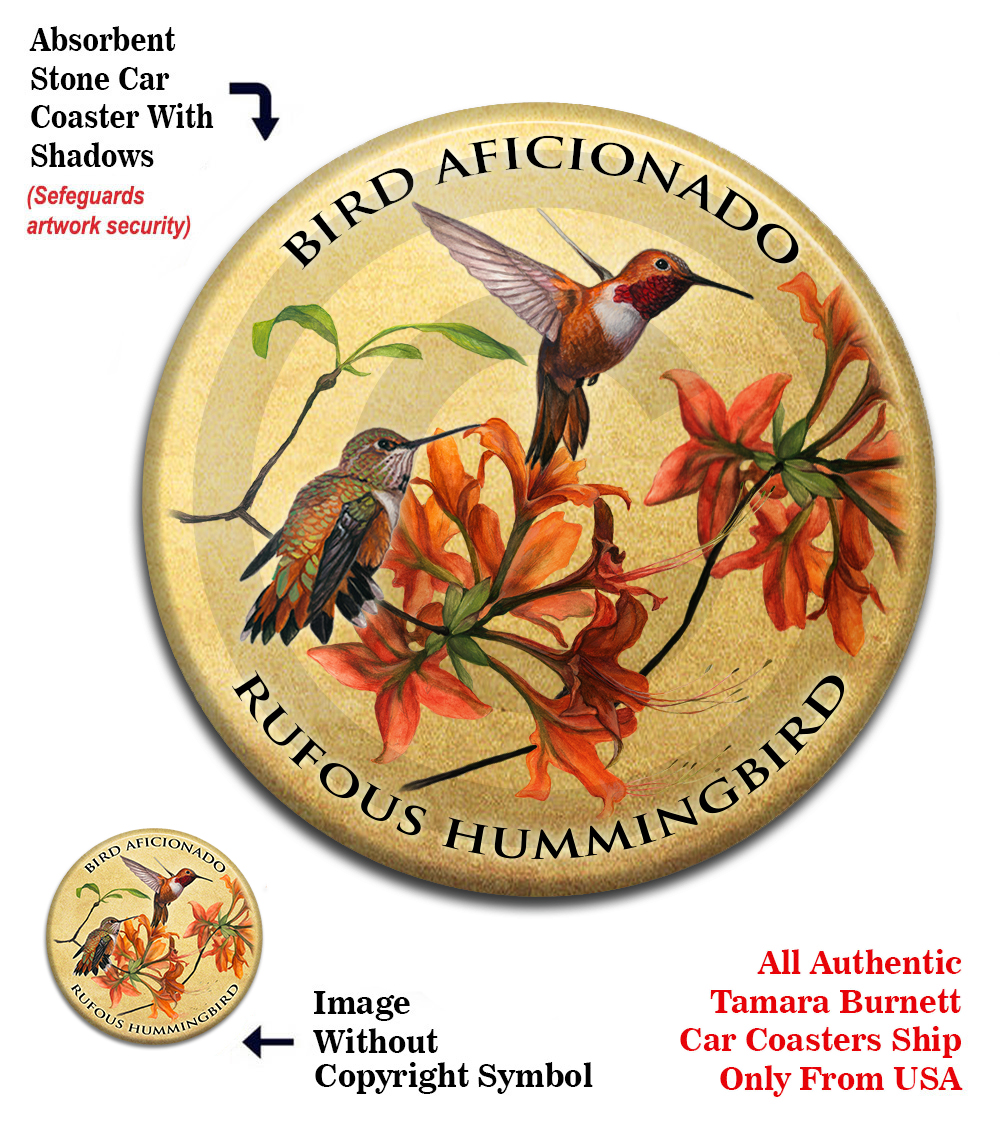 An image of product 13735 Rufous Hummingbird - Coaster Buddy