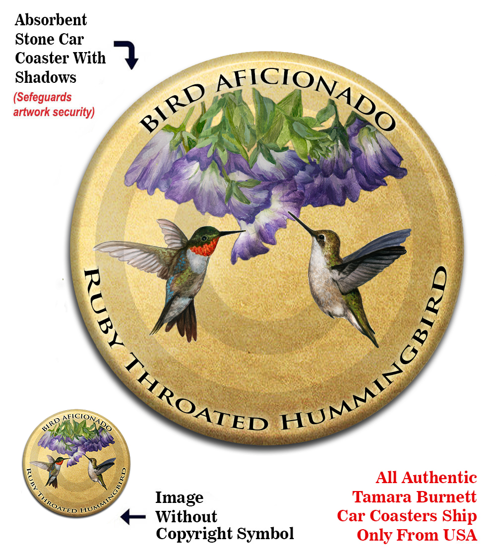 An image of product 13736 Ruby Throated Hummingbird - Coaster Buddy