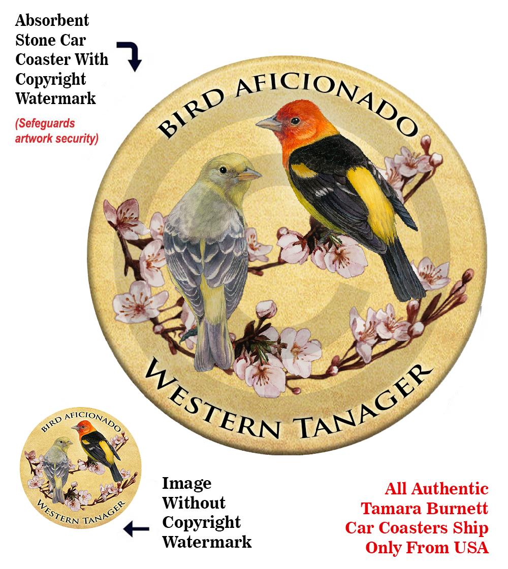 An image of product 13740 Western Tanager - Coaster Buddy