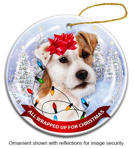 Jack Russell Wire Hair Brown & White All Wrapped Up Ornament image