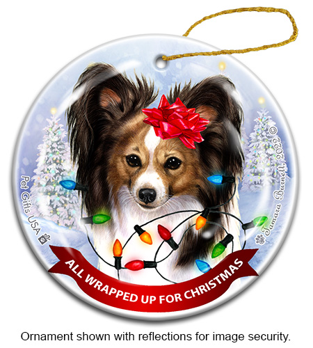 Papillon Tri Color All Wrapped Up Ornament image