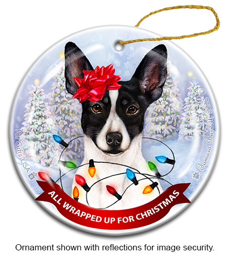 Rat Terrier Cropped Black & White All Wrapped Up Ornament image
