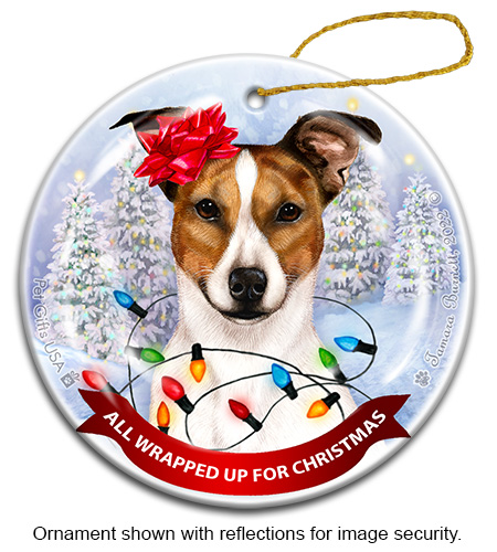 Rat Terrier Tipped Tan & White All Wrapped Up Ornament image