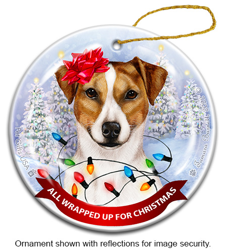 Rat Terrier Uncropped Tan & White All Wrapped Up Ornament image