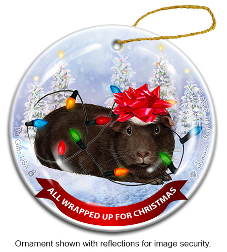 Guinea Pig Chocolate Crested All Wrapped Up Ornament image