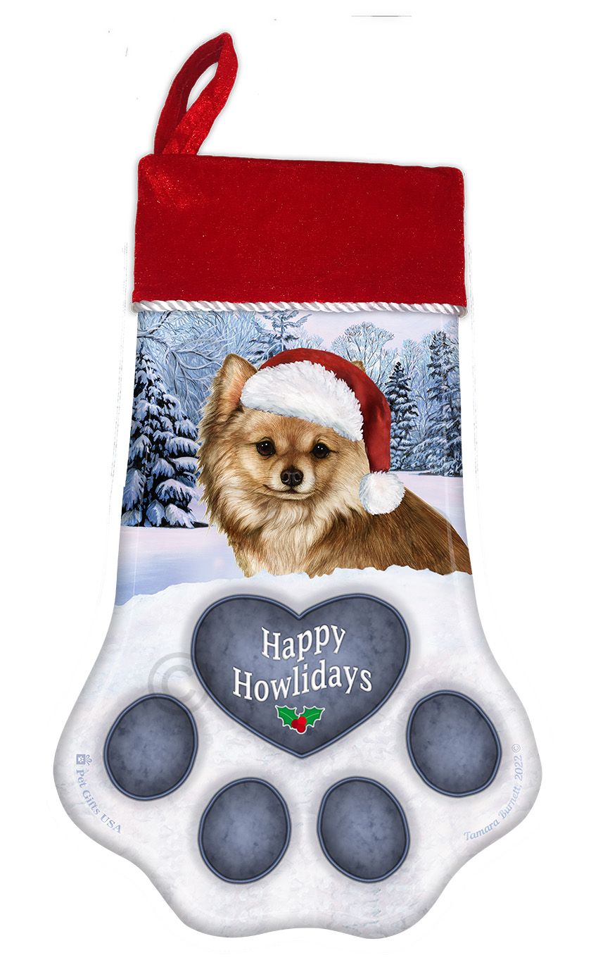 An image of the Chihuahua Long Hair Fawn Holiday Stocking