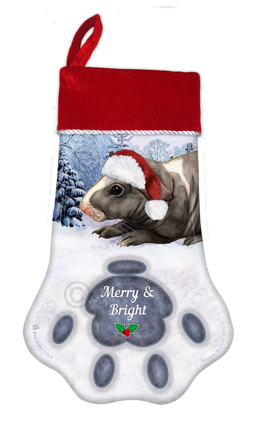 An image of the Skinny (Hairless) Guinea Pig Holiday Stocking