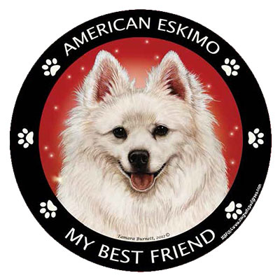 American Eskimo - My Best Friends Magnet image sized 400 x 400
