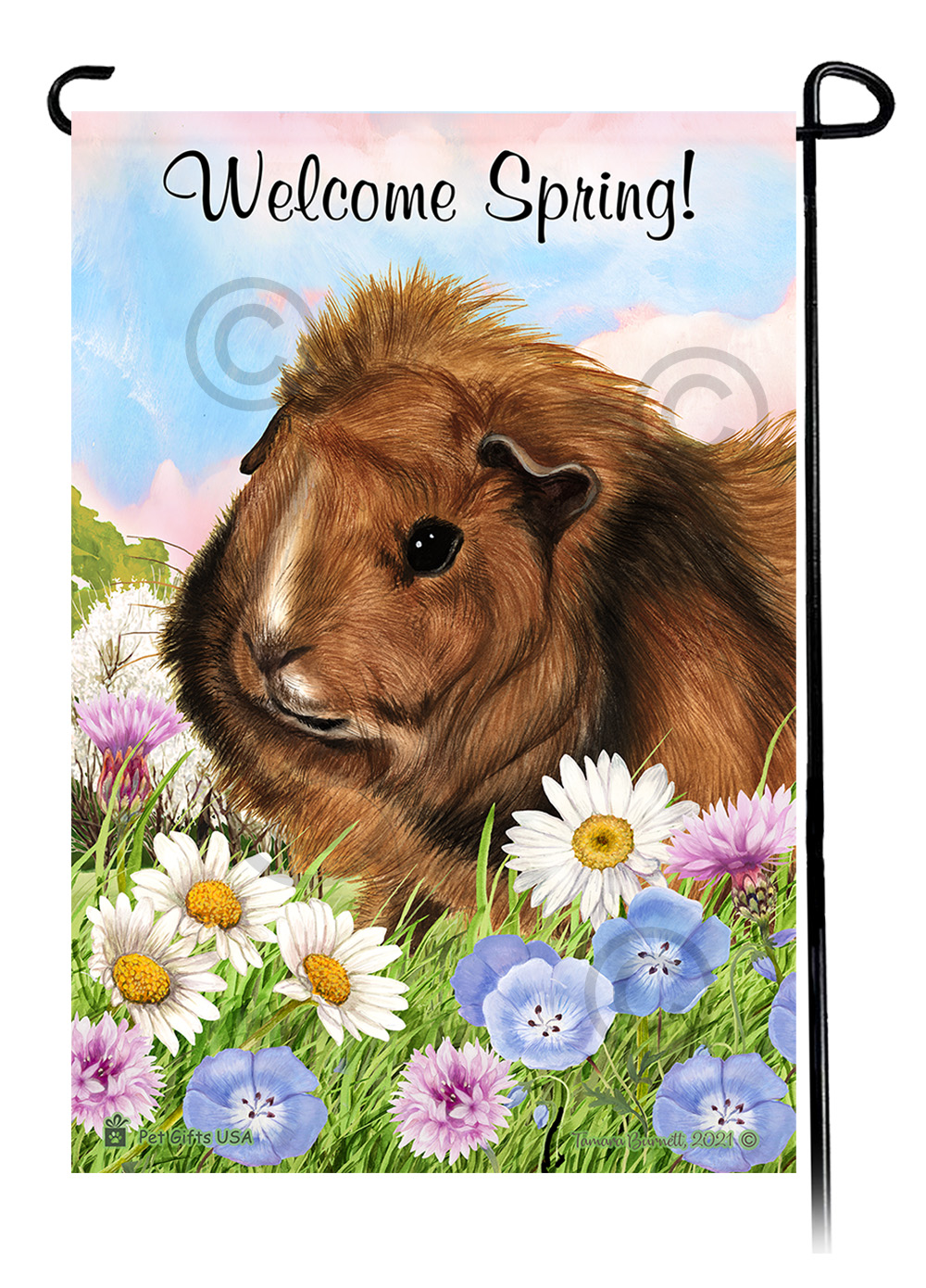 An image of the Guinea Pig Abyssinian - Welcome Spring Garden Flag