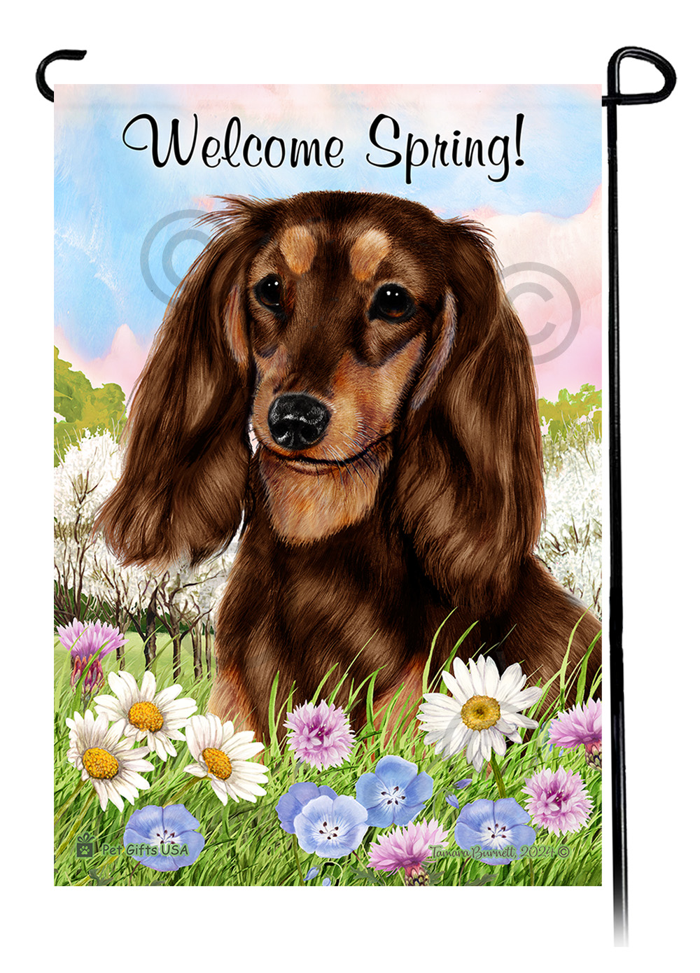 Dachshund Longhair Black and Tan - Welcome Spring Garden Flag Image