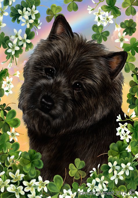  Cairn Terrier (Black) Saint Patricks Scene - House Flag image sized 476 x 680