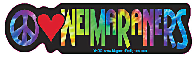 Peace Love Weimaraners - Yippie Hippie Bumper Sticker image sized 640 x 188
