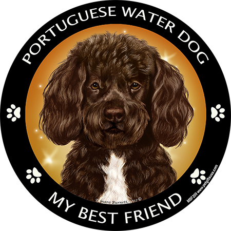 Portugeuse Water Dog (Chocolate) - My Best Friends Magnet Image