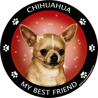 Chihuahua - My Best Friends Magnet Image