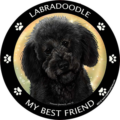 Labradoodle (Black) - My Best Friends Magnet Image