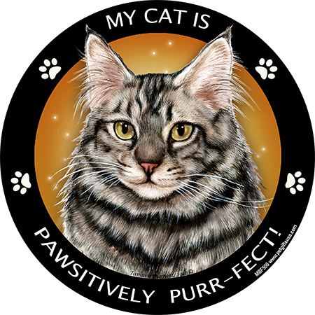 Maine Coon Silver Cat - My Best Friends Magnet Image