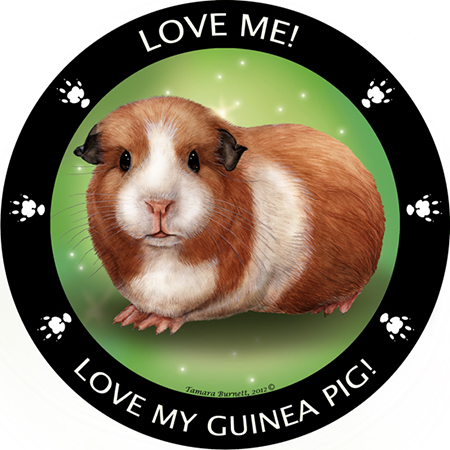 Guinea Pig - My Best Friends Magnet image sized 450 x 450