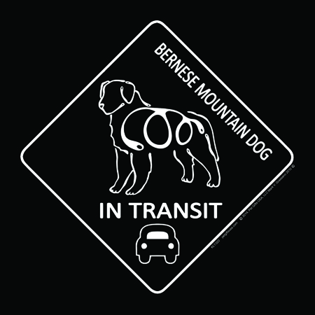 Bernese Mountain Dog - K-Line In Transit Magnet Image