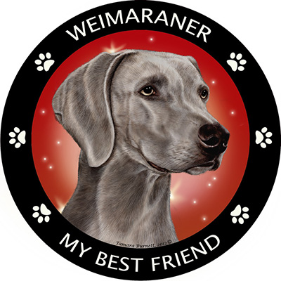 Weimaraner - My Best Friends Magnet Image