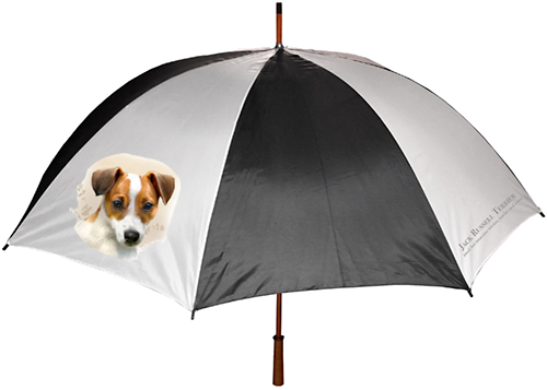 Jack Russel Terrier - Umbrella image sized 500 x 357