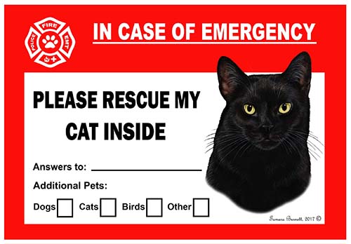 Black Cat Pet Savers - Emergency Cling image sized 500 x 348