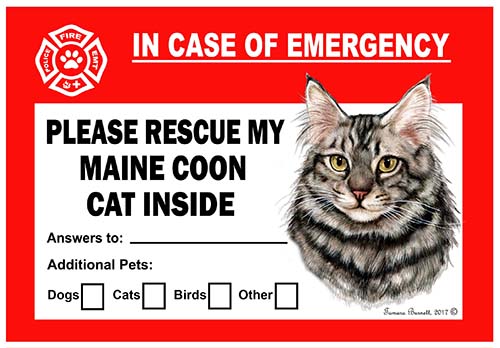 Silver Main Coon Cat Pet Savers - Emergency Cling Image