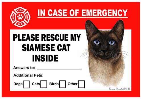 Siamese Seal Cat Pet Savers - Emergency Cling image sized 500 x 348