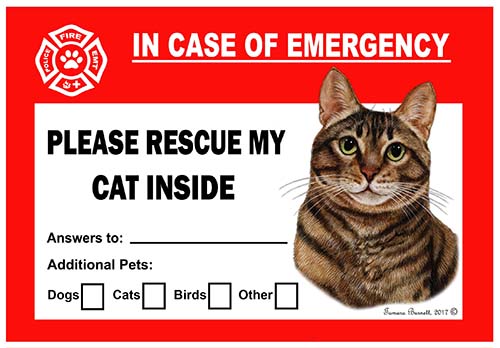 Brown Tabby Cat Pet Savers - Emergency Cling image sized 500 x 348
