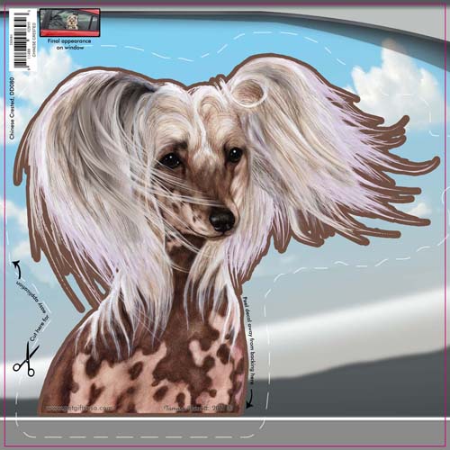 Chinese Crested - Dogs On The Move Window Decal image sized 500 x 500