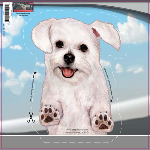 Maltese - Dogs On The Move Window Decal image sized 500 x 500