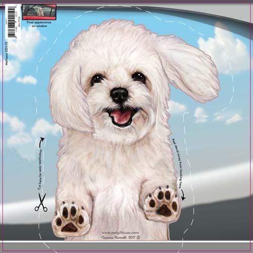 Maltipoo - Dogs On The Move Window Decal image sized 500 x 500