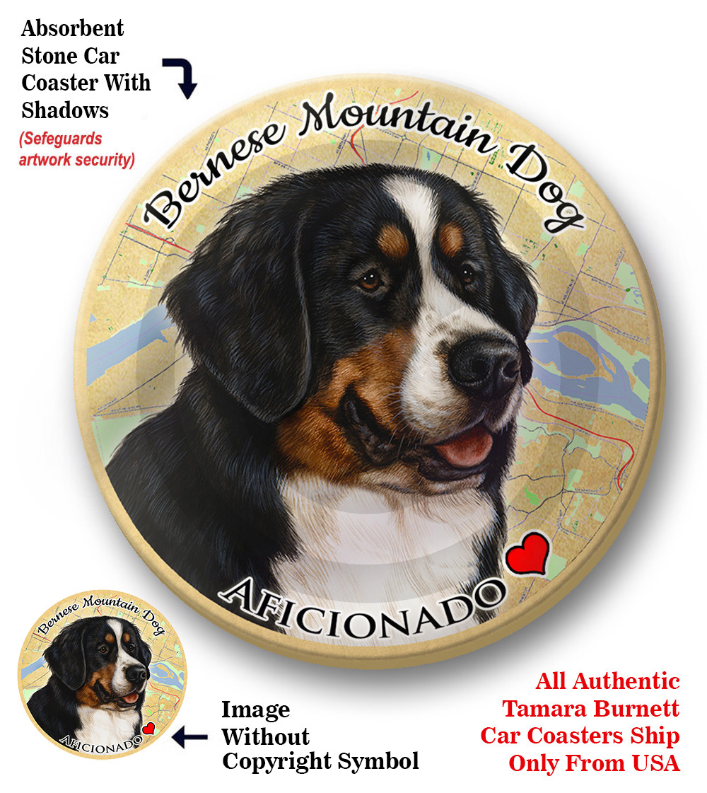 An image of product 8210 Bernese Mountain Dog - Coaster Buddy