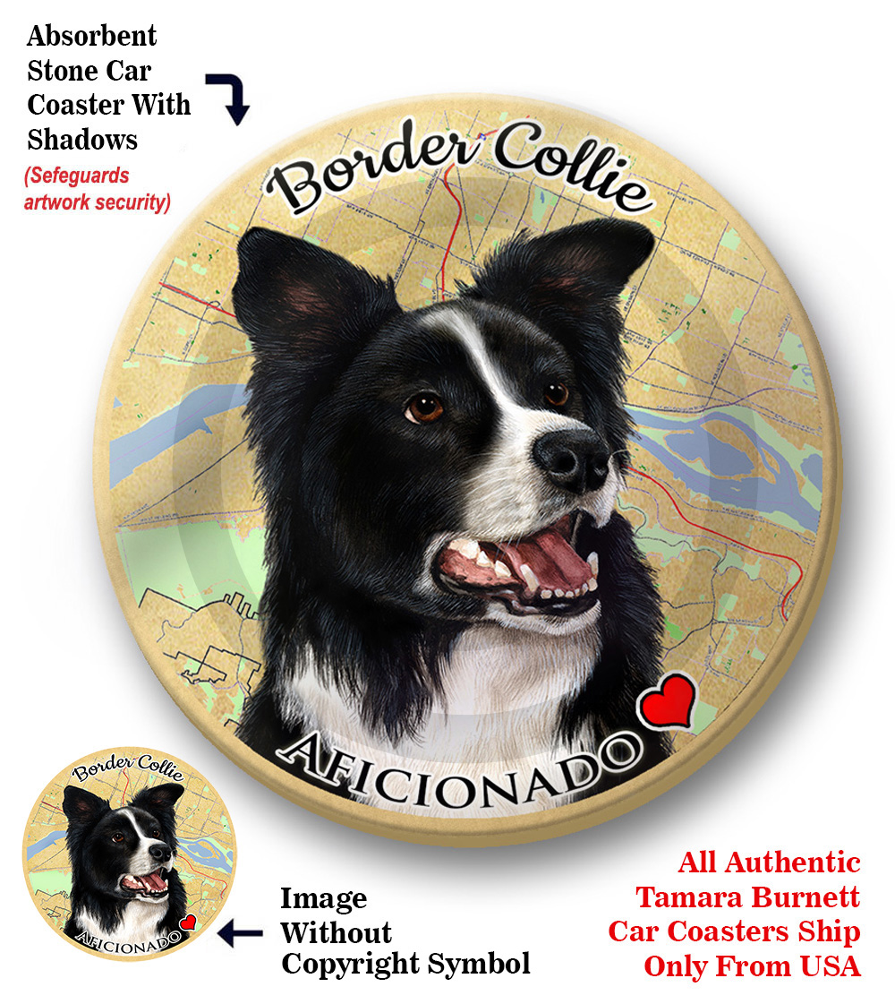 An image of product 8213 Border Collie - Coaster Buddy
