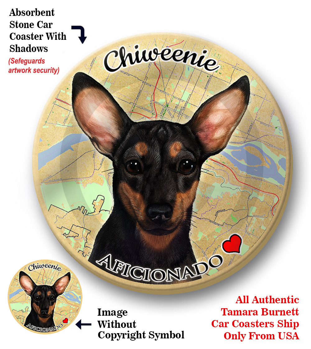 An image of product 8237 Chiweenie (Black & Tan) - Coaster Buddy