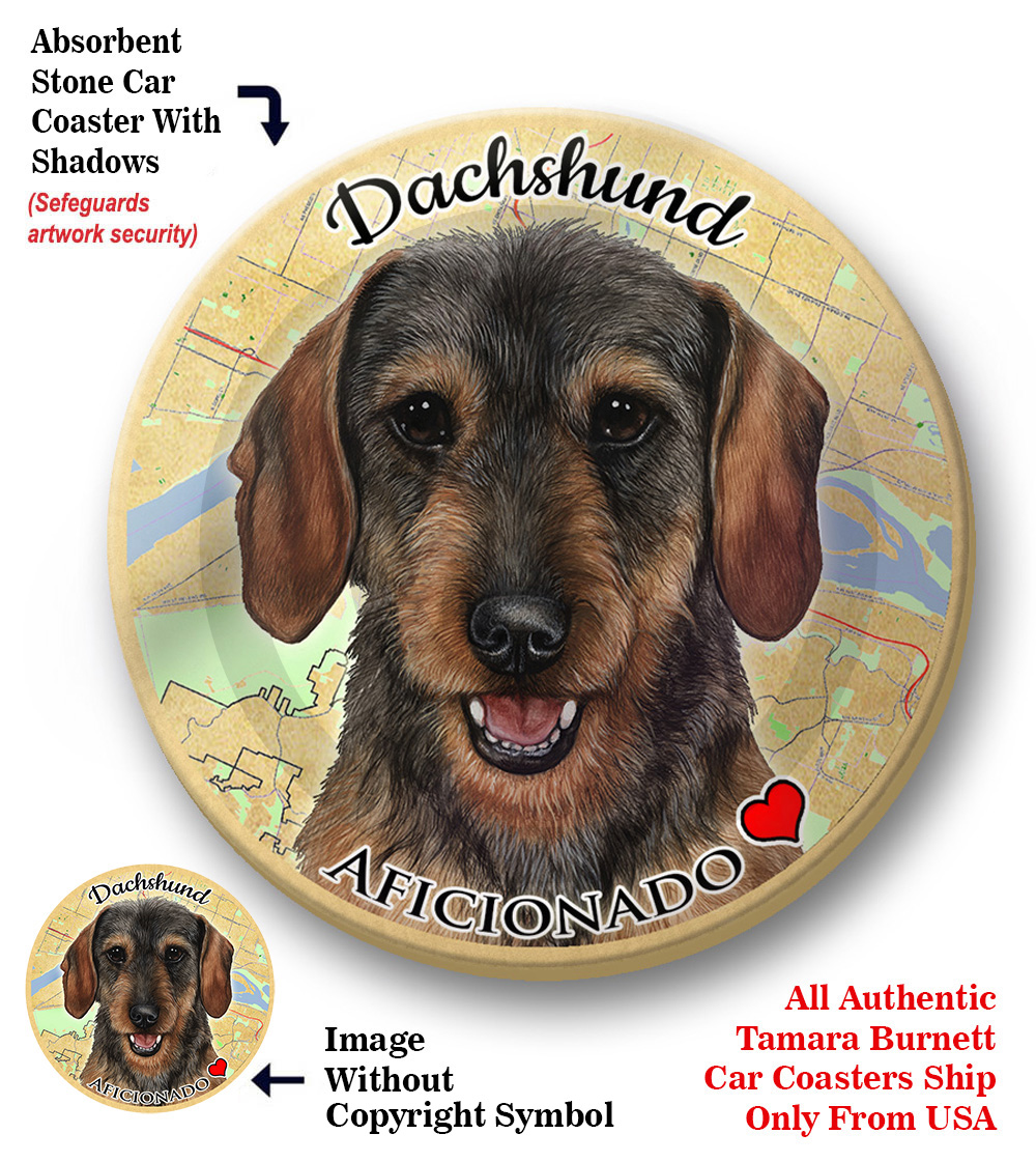 Dachshund (Wirehair Wild Boar) - Coaster Buddy Image