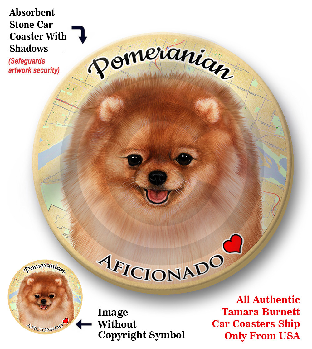 Pomeranian (Orange) - Coaster Buddy Image