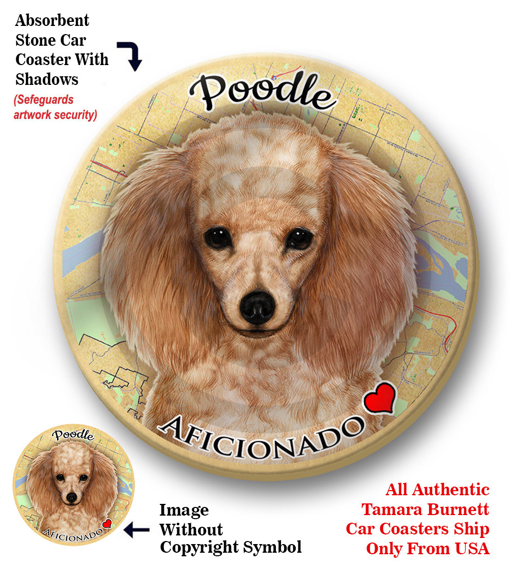 An image of product 8297 Poodle (Apricot) - Coaster Buddy
