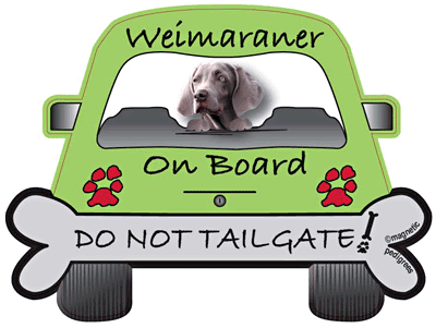 Weimaraner On Board - Do Not Tailgate Magnet Image