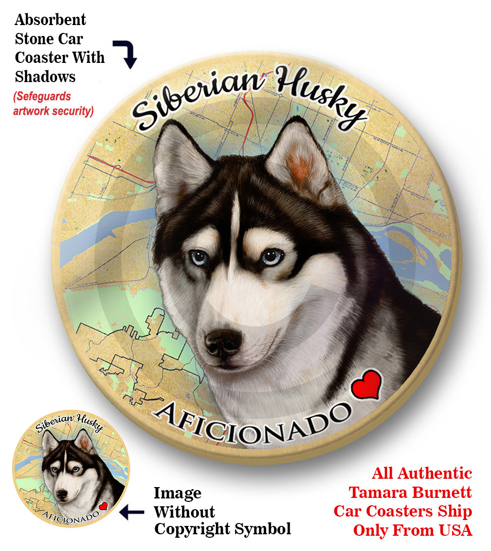An image of product 8323 Siberian Husky (Black & White) - Coaster Buddy