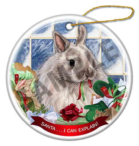 Jersey Wooley Rabbit - Santa I Can Explain Ornament image sized 450 x 474