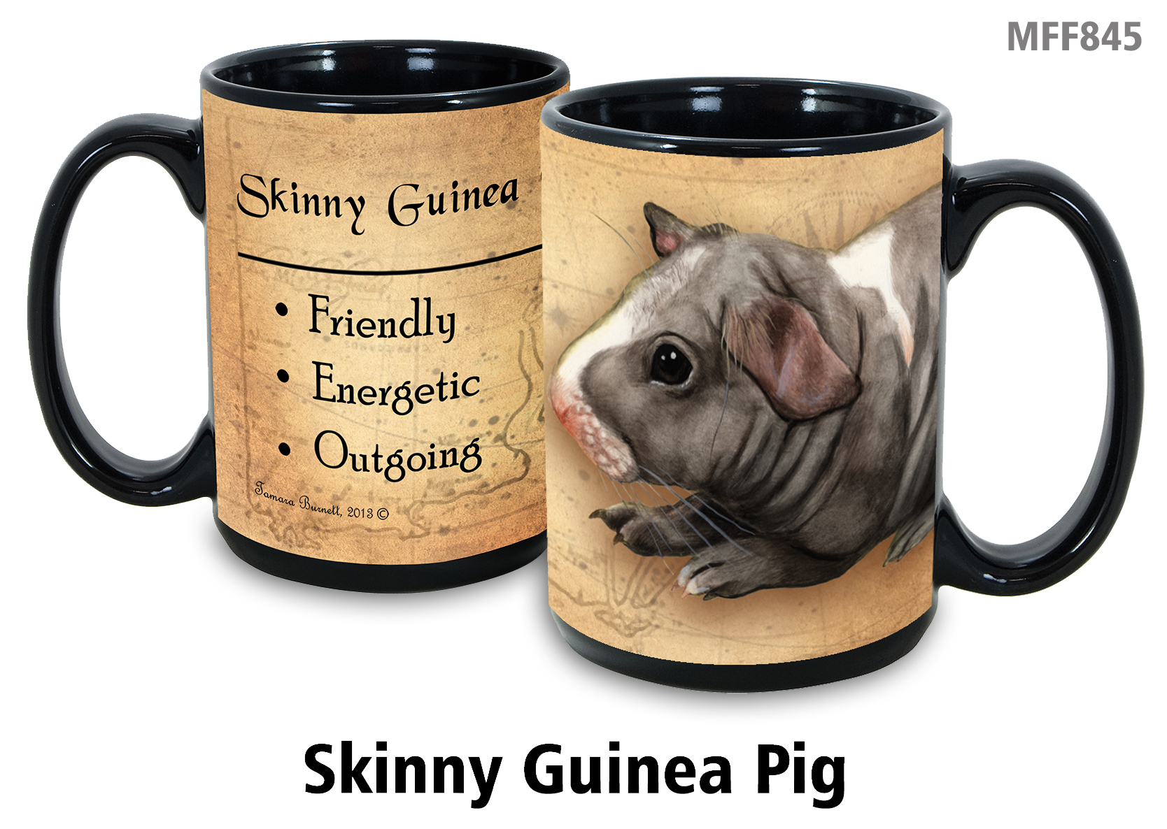 An image of product 8807 Guinea Pig (Skinny Hairless) - My Faithful Friends Mug 15 oz