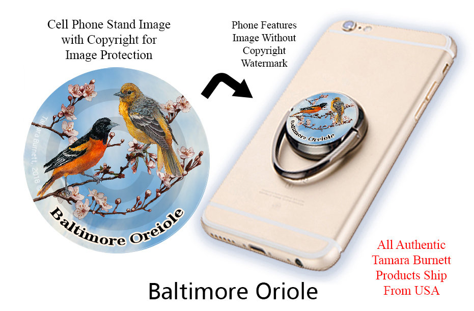 An image of product 9173 Baltimore Oriole - Phone Stand
