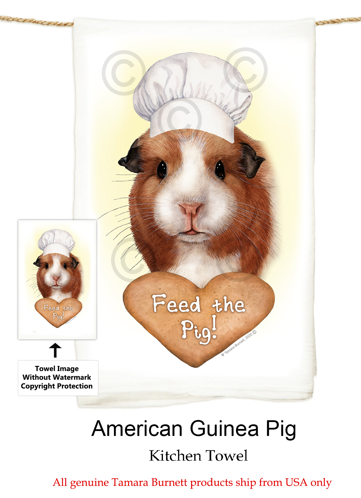 Guinea Pig (American) - Flour Sack Towel image sized 1245 x 1717