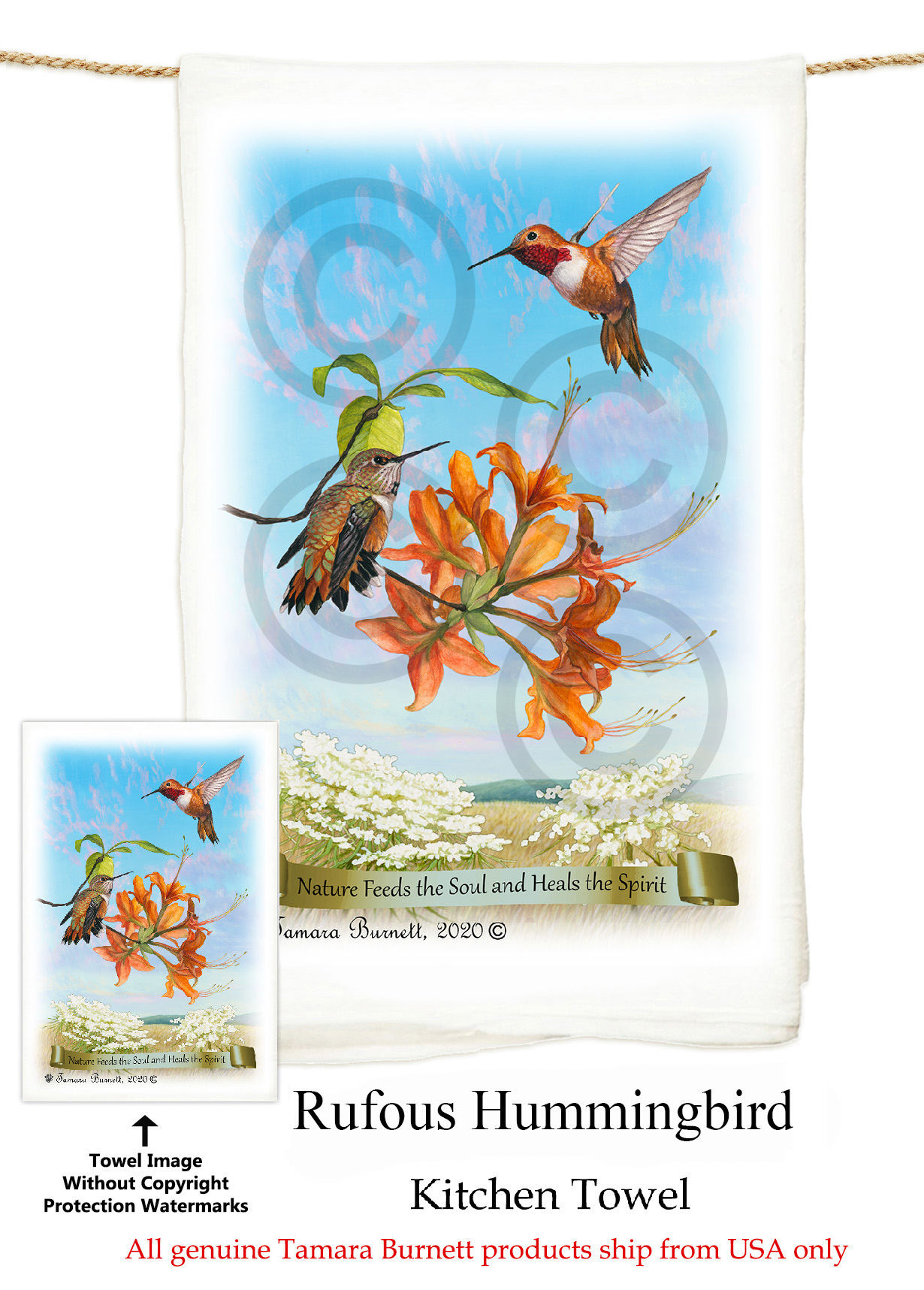 Rufous Hummingbirds - Flour Sack Towel image sized 1230 x 1717