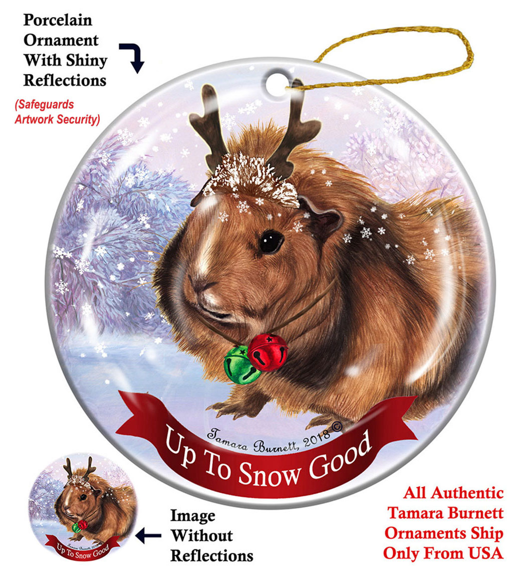Guinea Pig Abyssinian - Up To Snow Good Ornament Image
